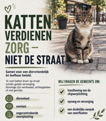 Katten petitie